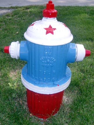 Red White Blue - 634 W. James (2)